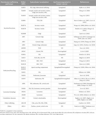 Membrane trafficking alterations in breast cancer progression